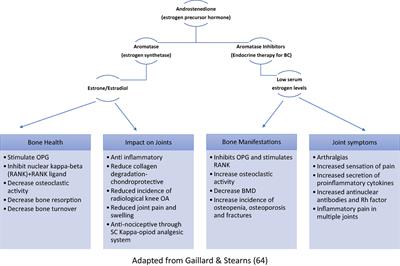 Frontiers | Efficacy Of Complementary Therapies In The Quality Of Life ...